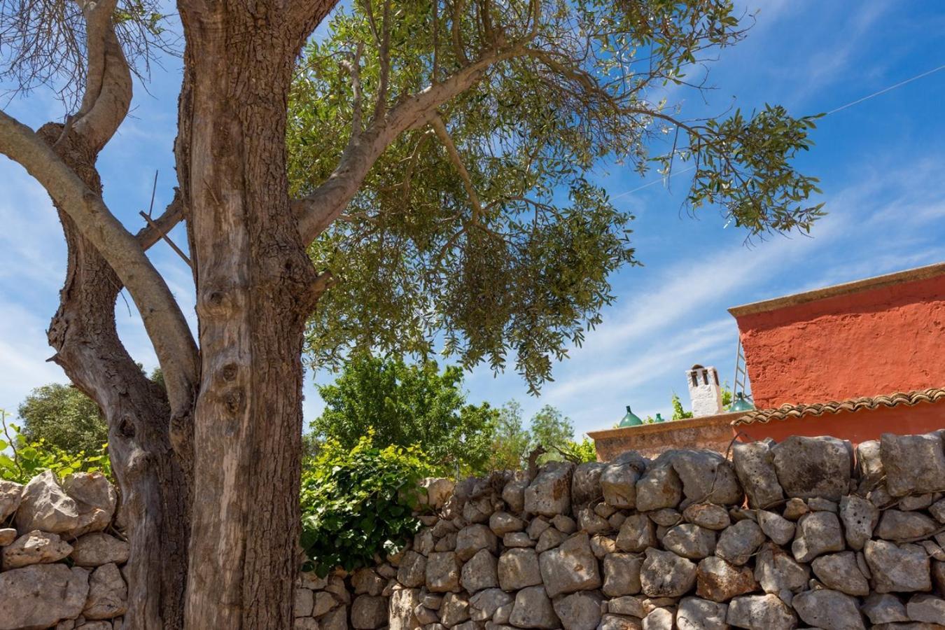 La Corte Della Masseria Сан-Віто-дей-Норманні Екстер'єр фото